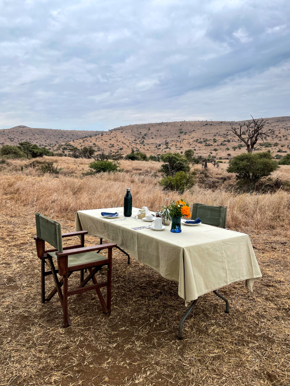 Family table set outdoors for a celebration