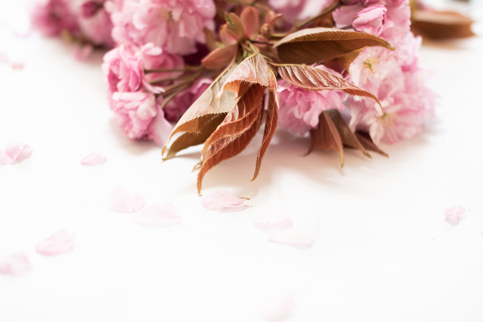 Blush floral centrepiece detail on a dressed table